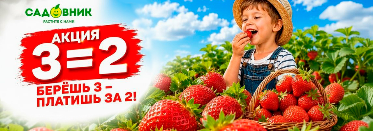 3=2 на рассаду клубники