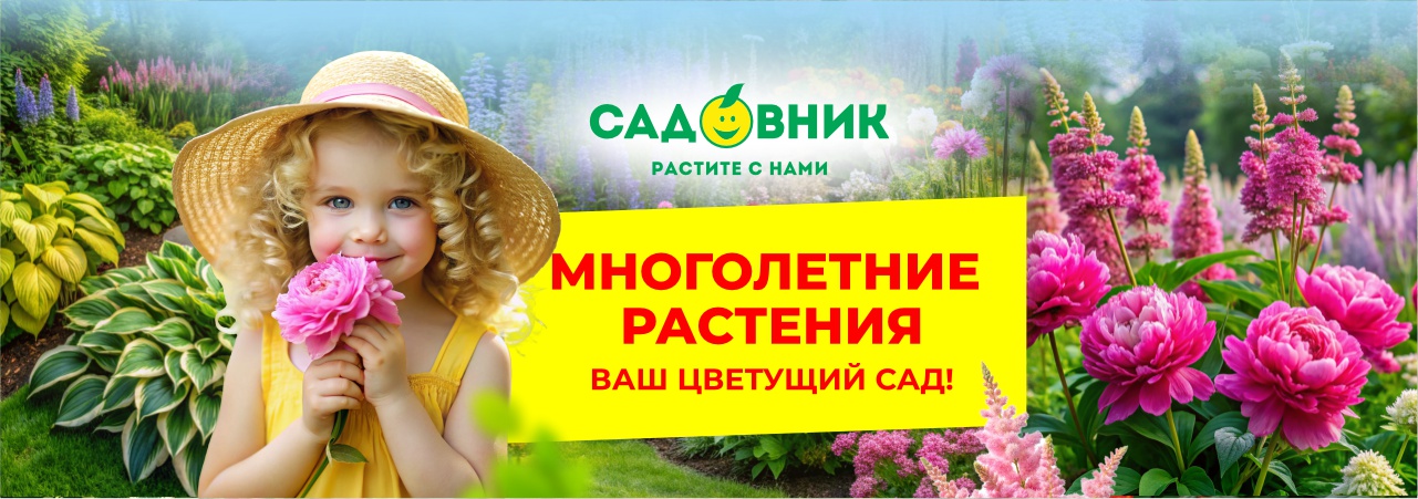 Многолетние растения