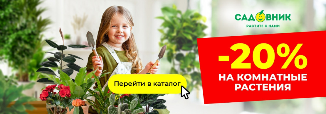-20% на комнатные растения